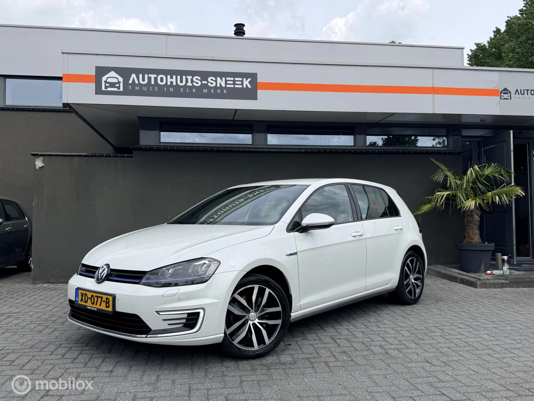 Hoofdafbeelding Volkswagen Golf