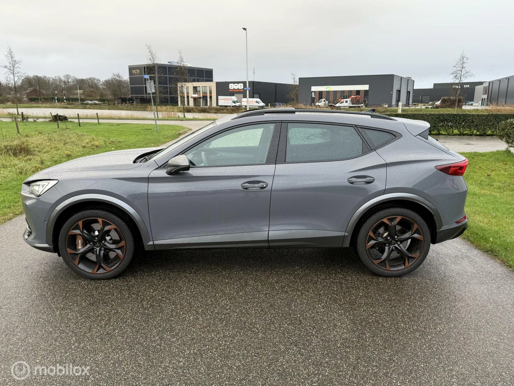 Hoofdafbeelding CUPRA Formentor