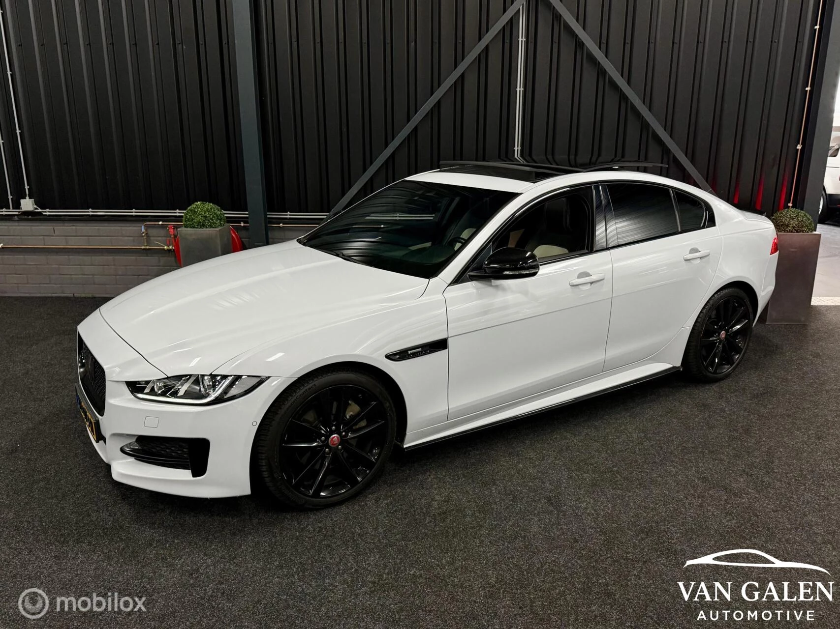 Hoofdafbeelding Jaguar XE