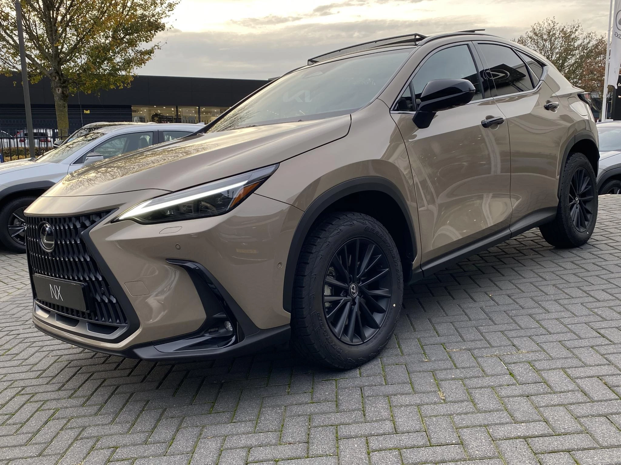 Hoofdafbeelding Lexus NX