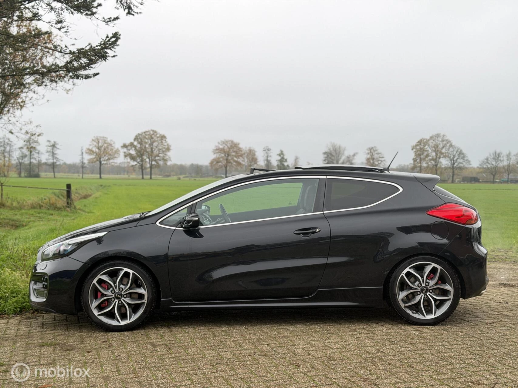 Hoofdafbeelding Kia pro_cee'd