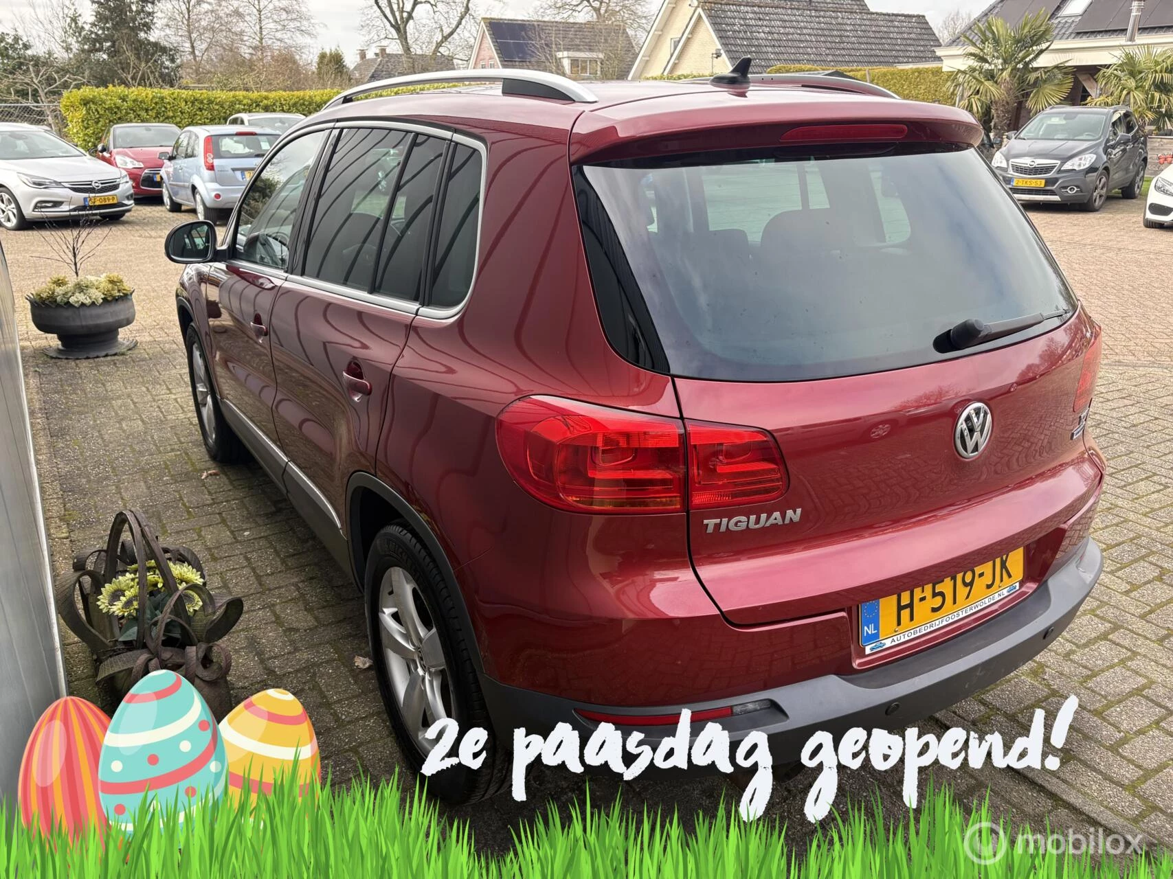 Hoofdafbeelding Volkswagen Tiguan
