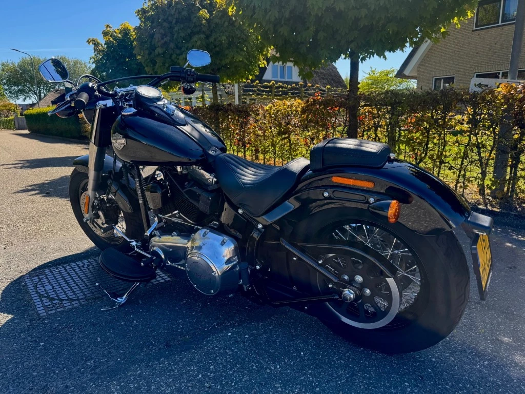 Hoofdafbeelding Harley-Davidson Softail
