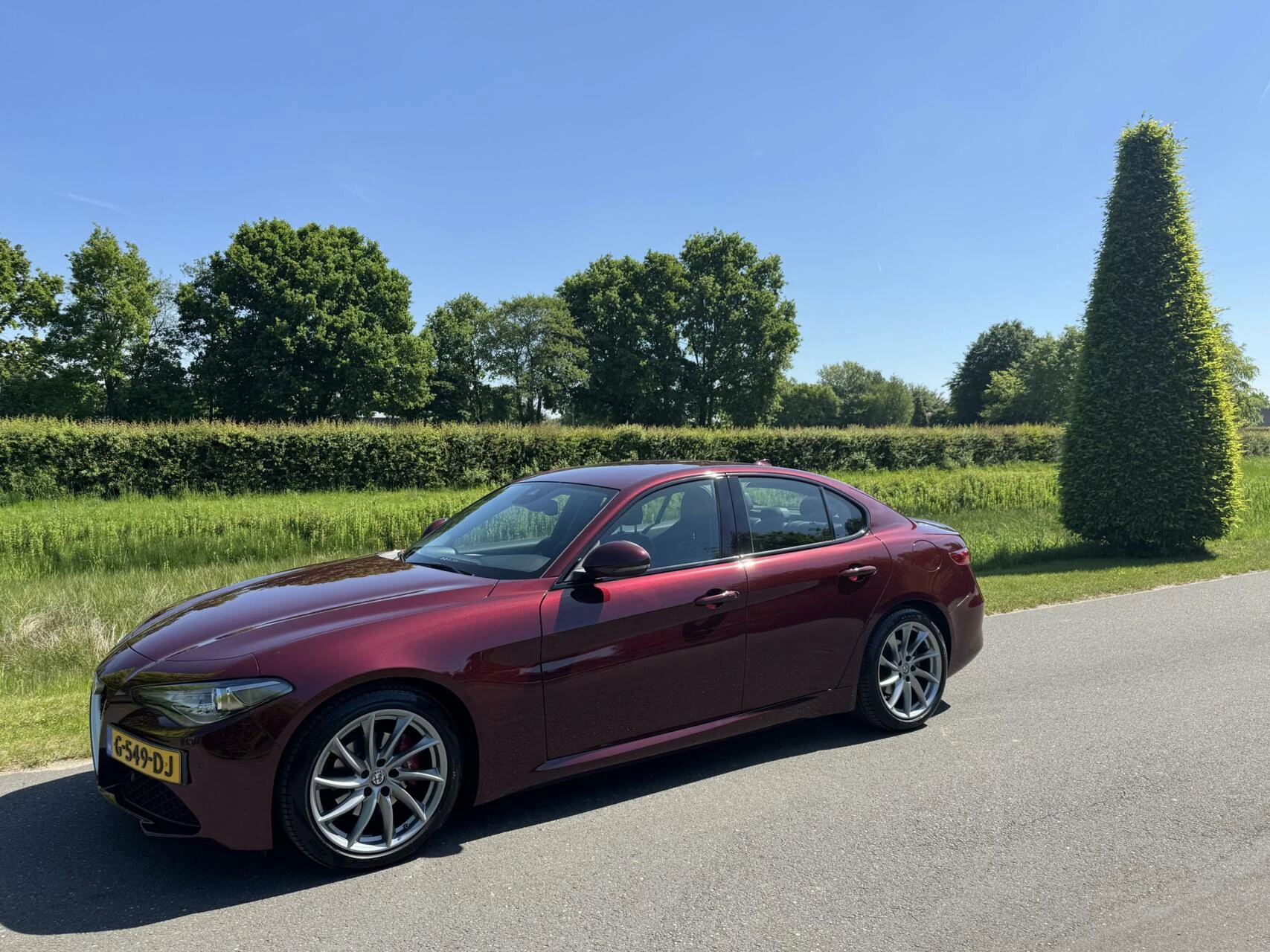 Hoofdafbeelding Alfa Romeo Giulia
