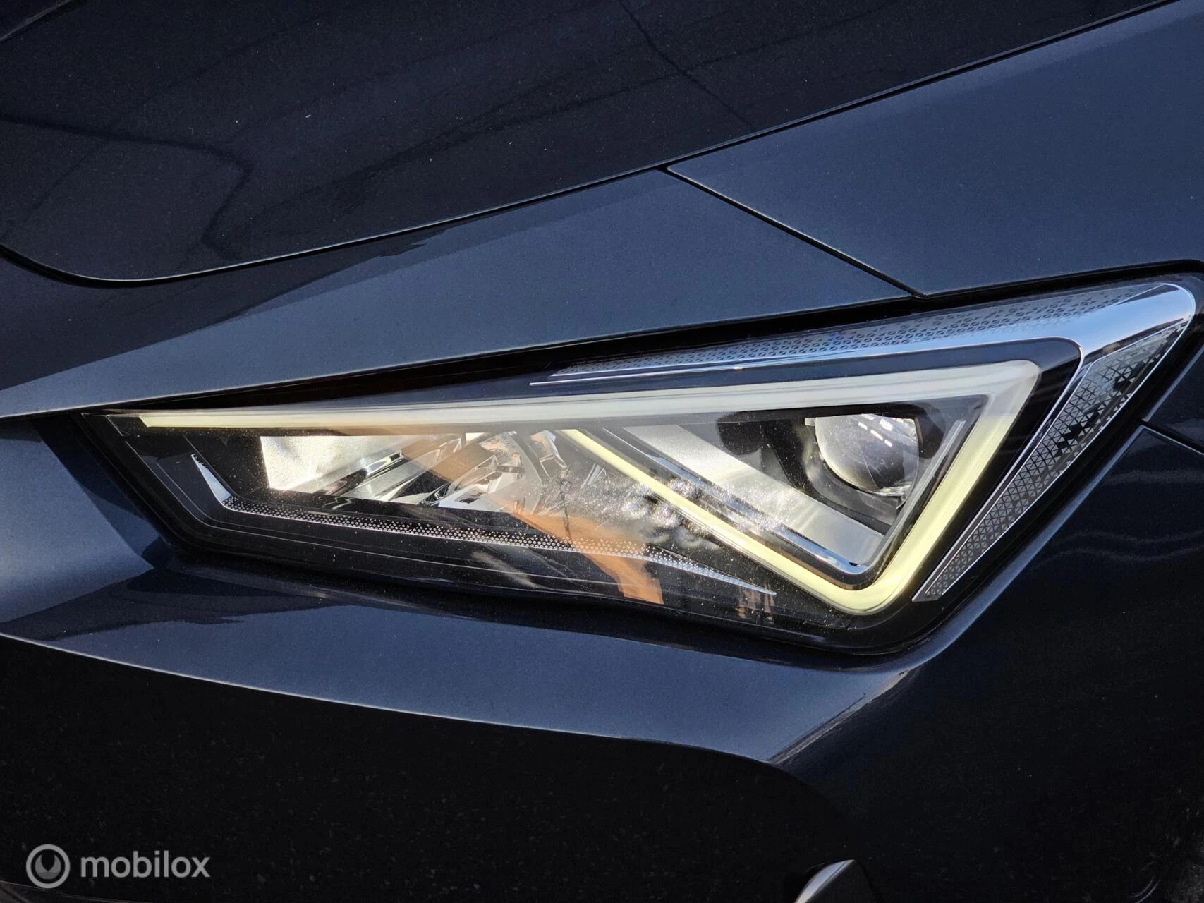 Hoofdafbeelding CUPRA Leon