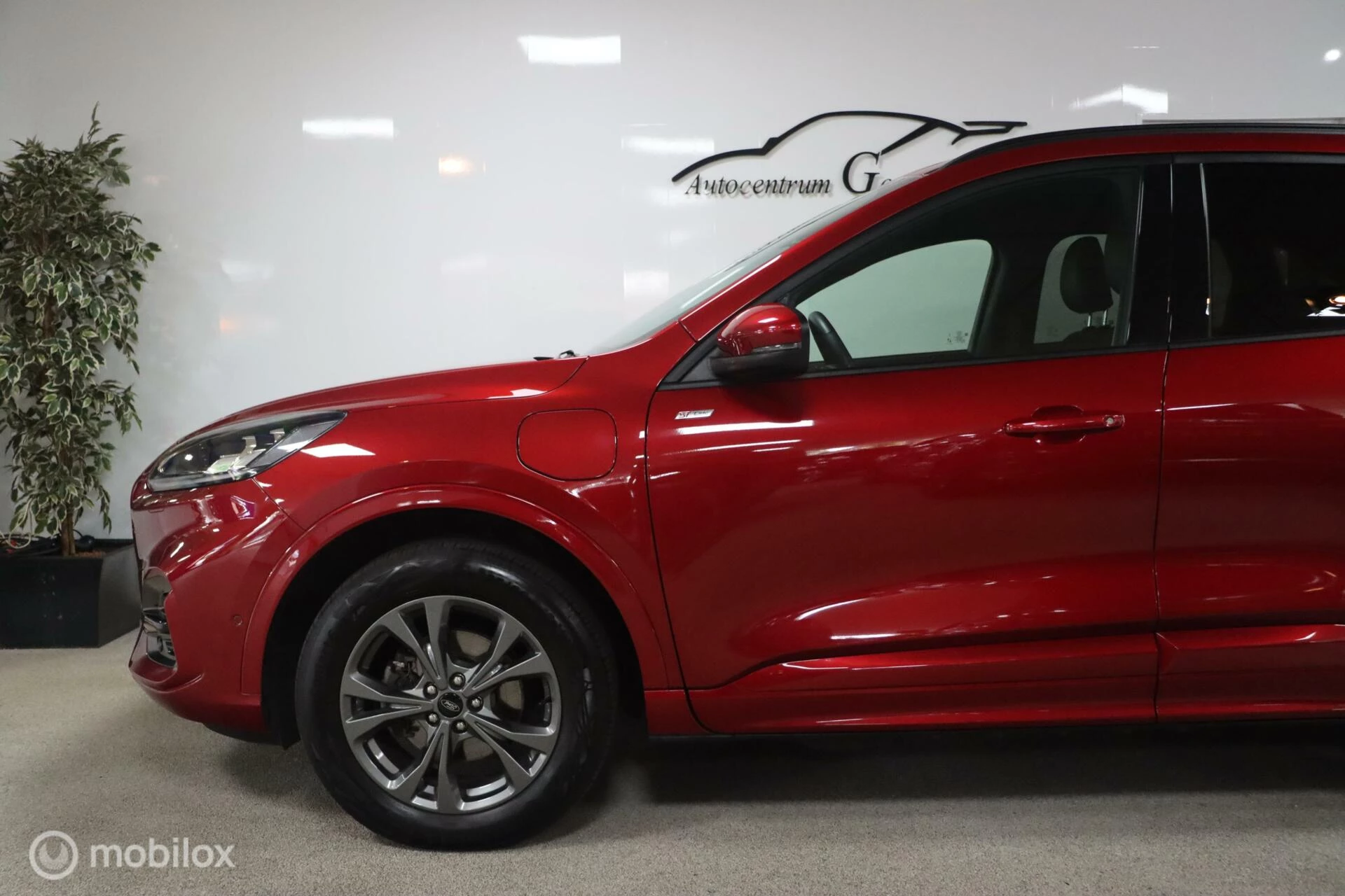Hoofdafbeelding Ford Kuga