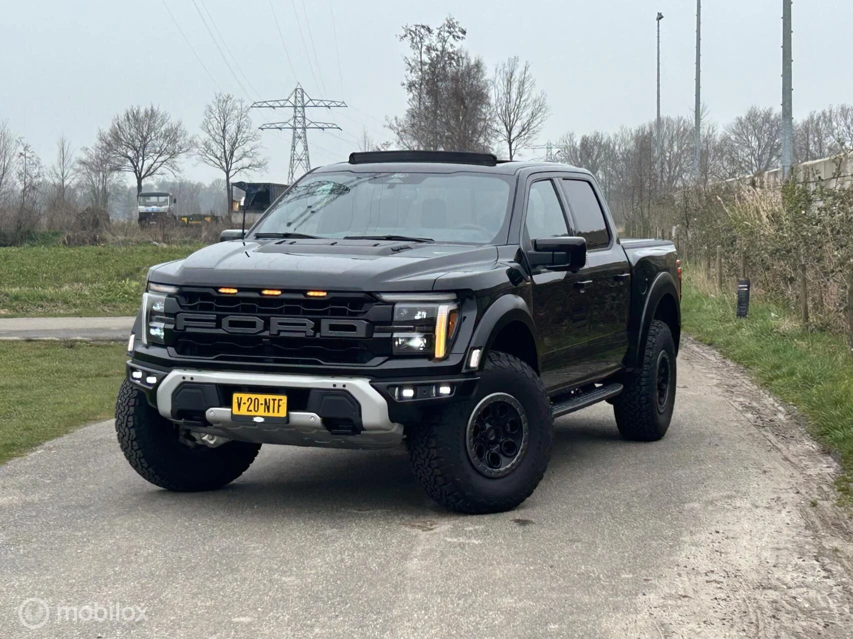 Hoofdafbeelding Ford F-150