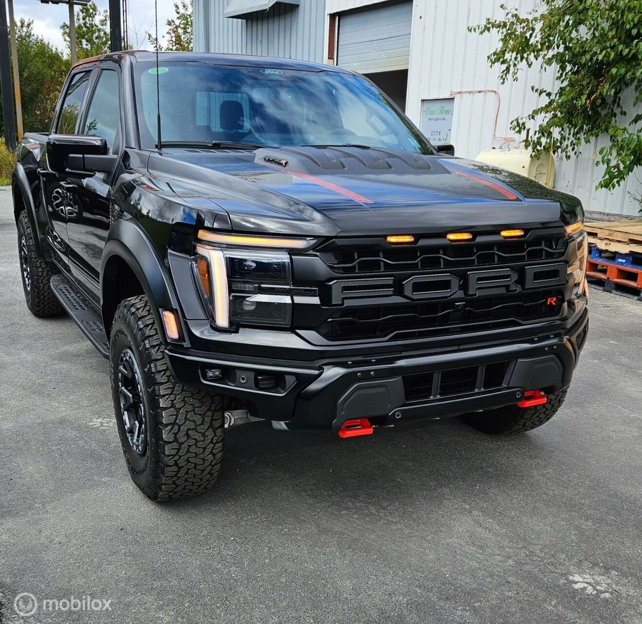 Hoofdafbeelding Ford Raptor R