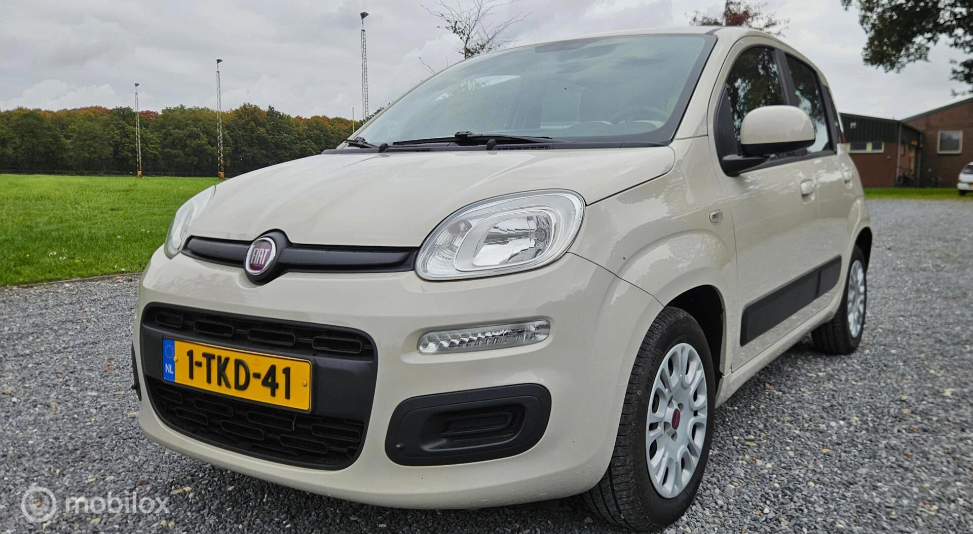 Hoofdafbeelding Fiat Panda