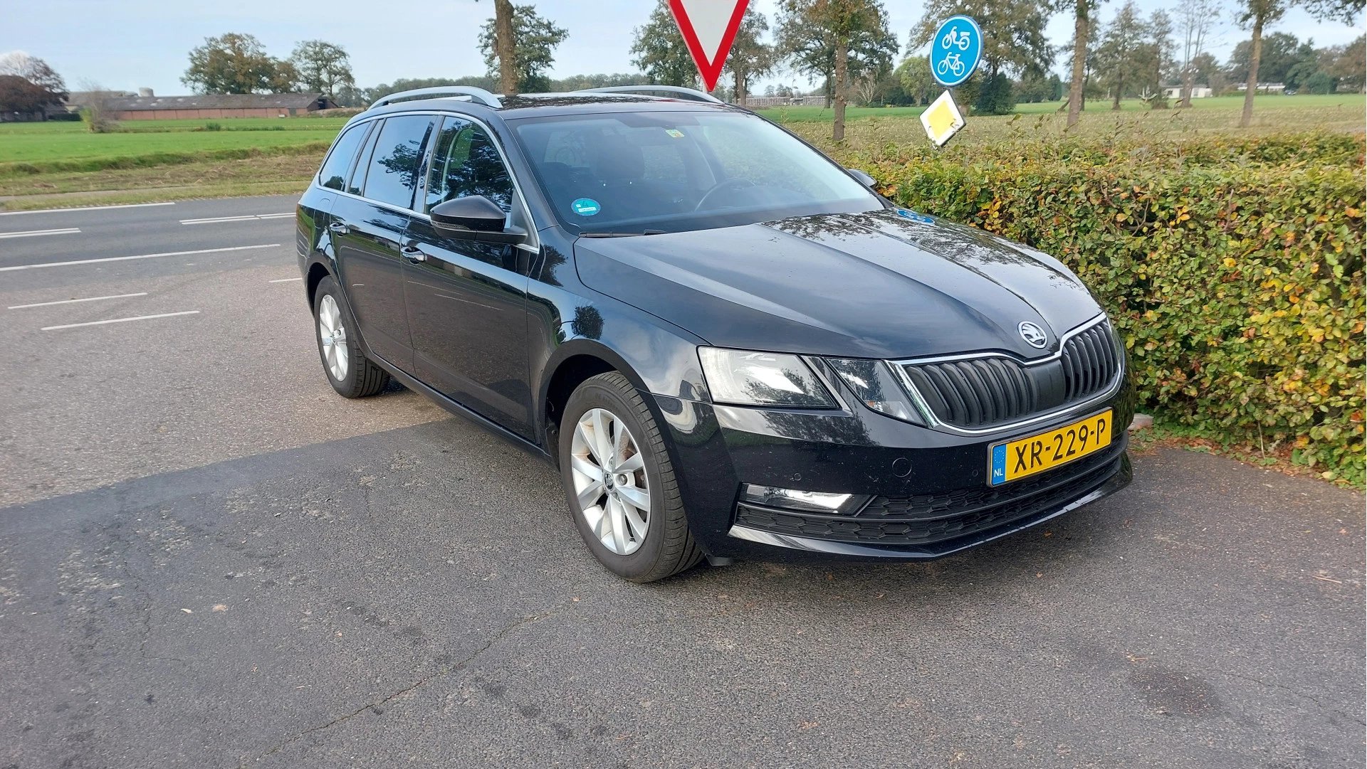 Hoofdafbeelding Škoda Octavia