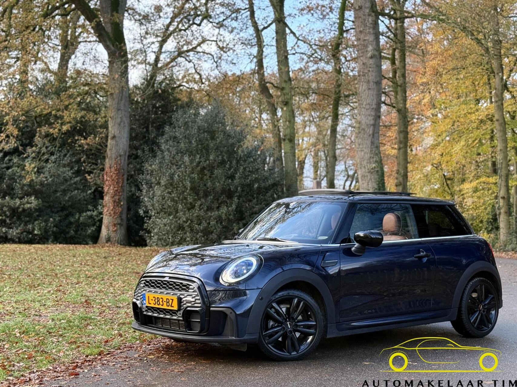 Hoofdafbeelding MINI Cooper