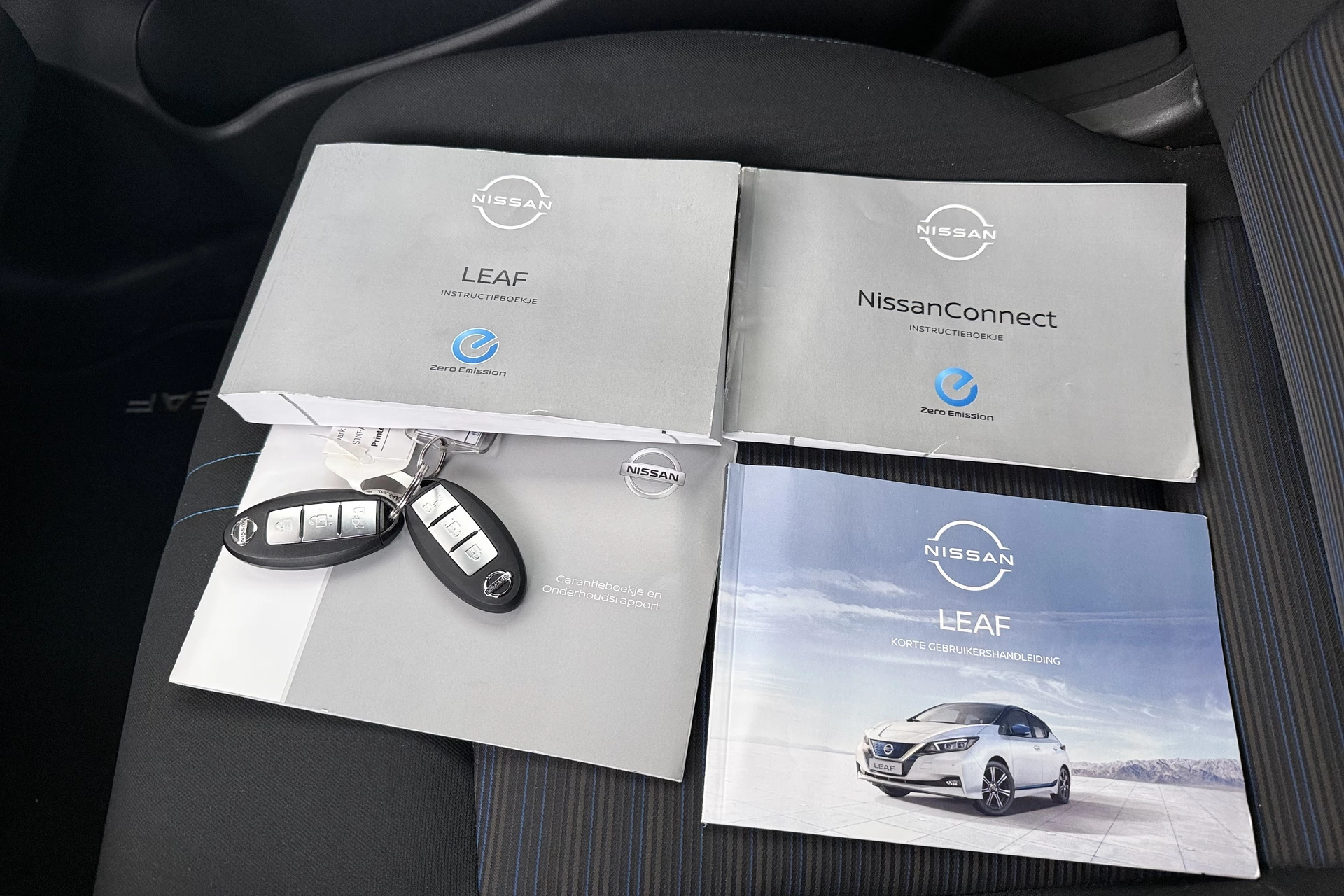 Hoofdafbeelding Nissan Leaf