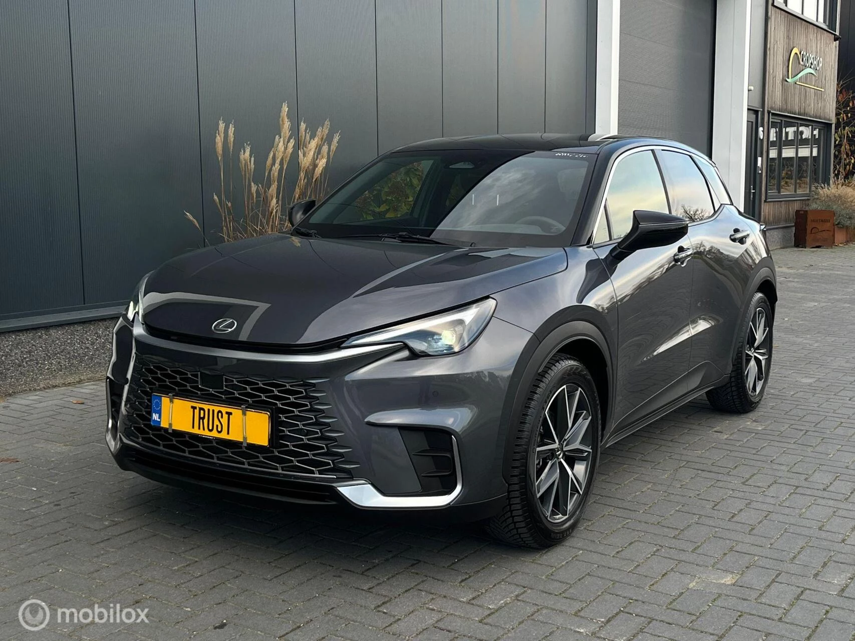 Hoofdafbeelding Lexus LBX