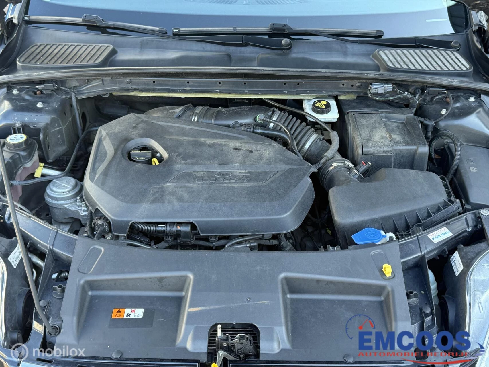 Hoofdafbeelding Ford Mondeo