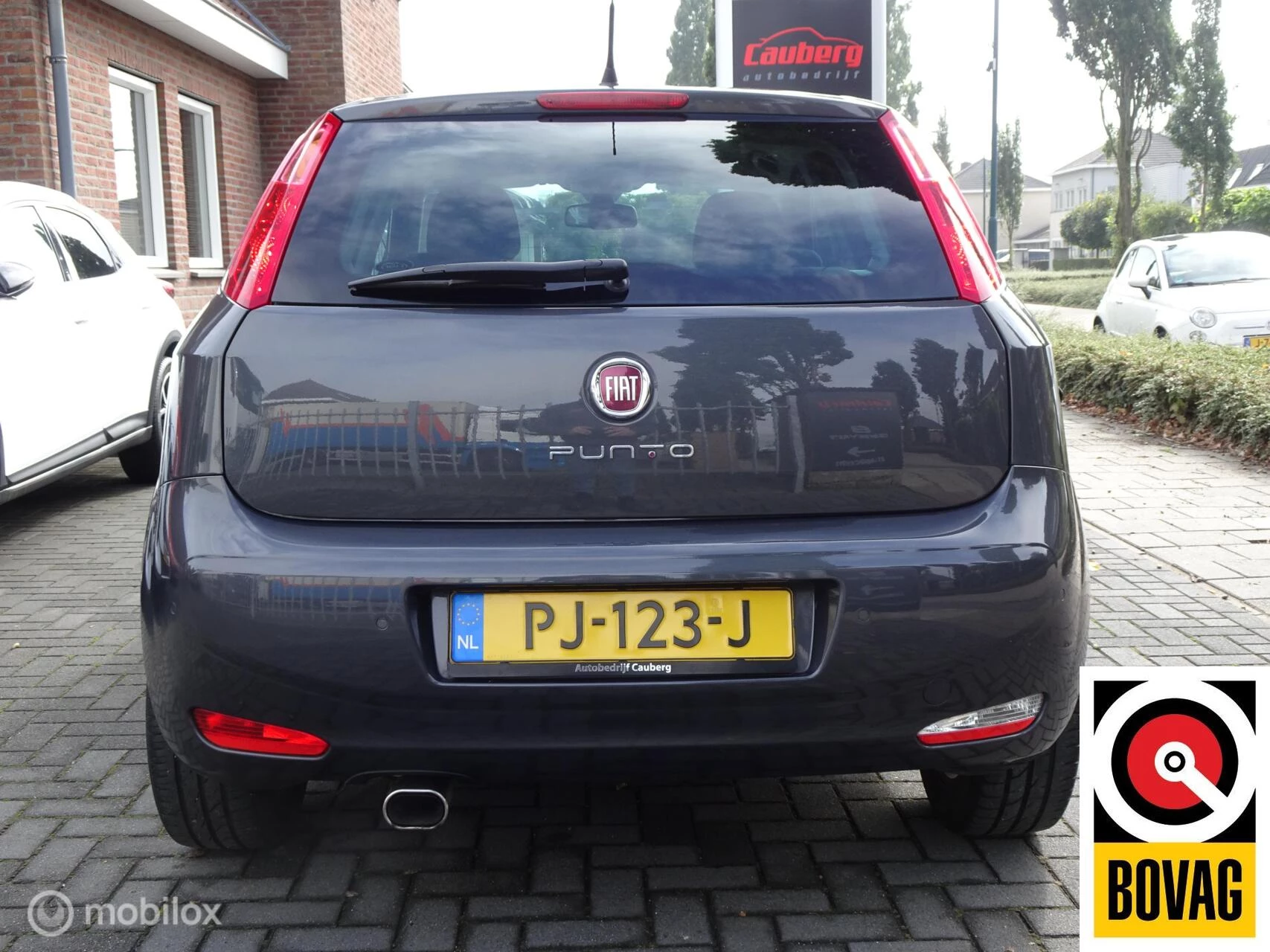 Hoofdafbeelding Fiat Punto