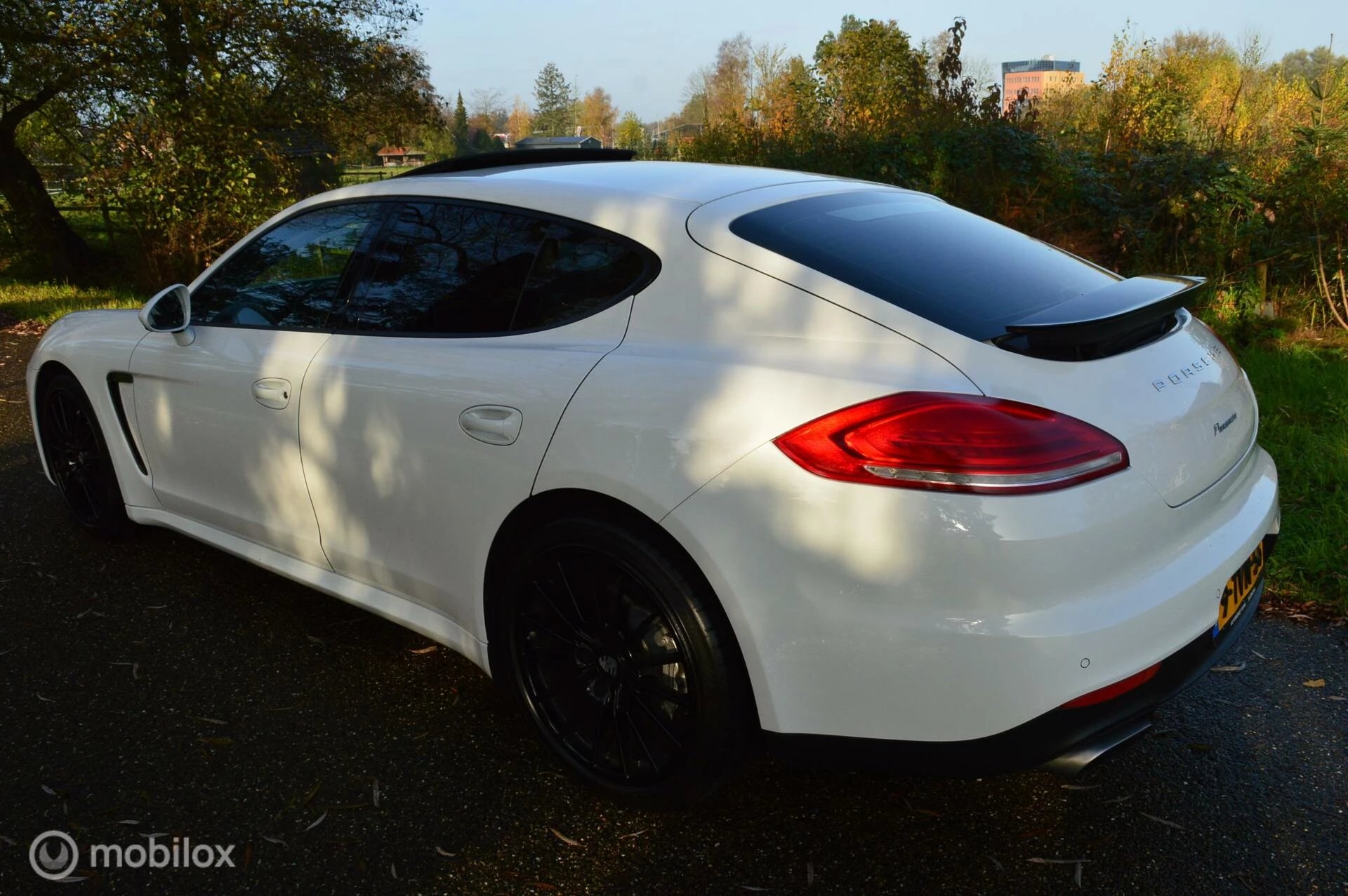 Hoofdafbeelding Porsche Panamera