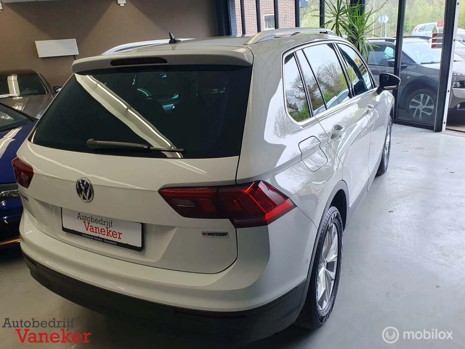 Hoofdafbeelding Volkswagen Tiguan