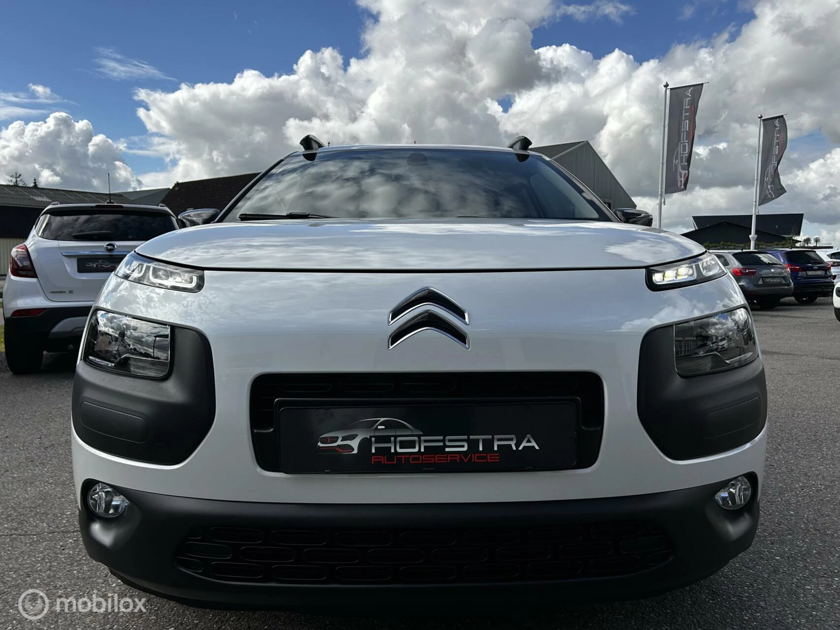 Hoofdafbeelding Citroën C4 Cactus