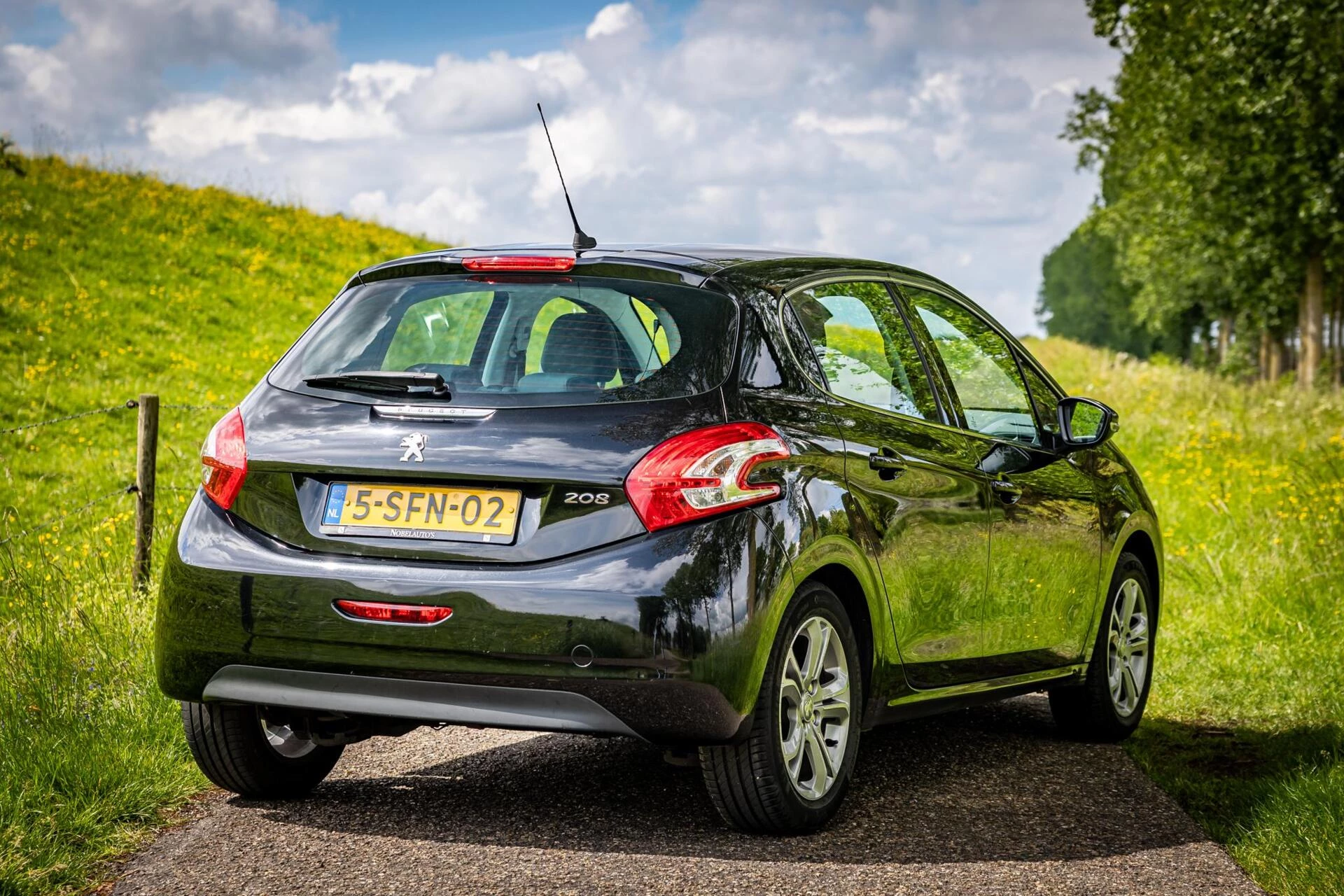 Hoofdafbeelding Peugeot 208
