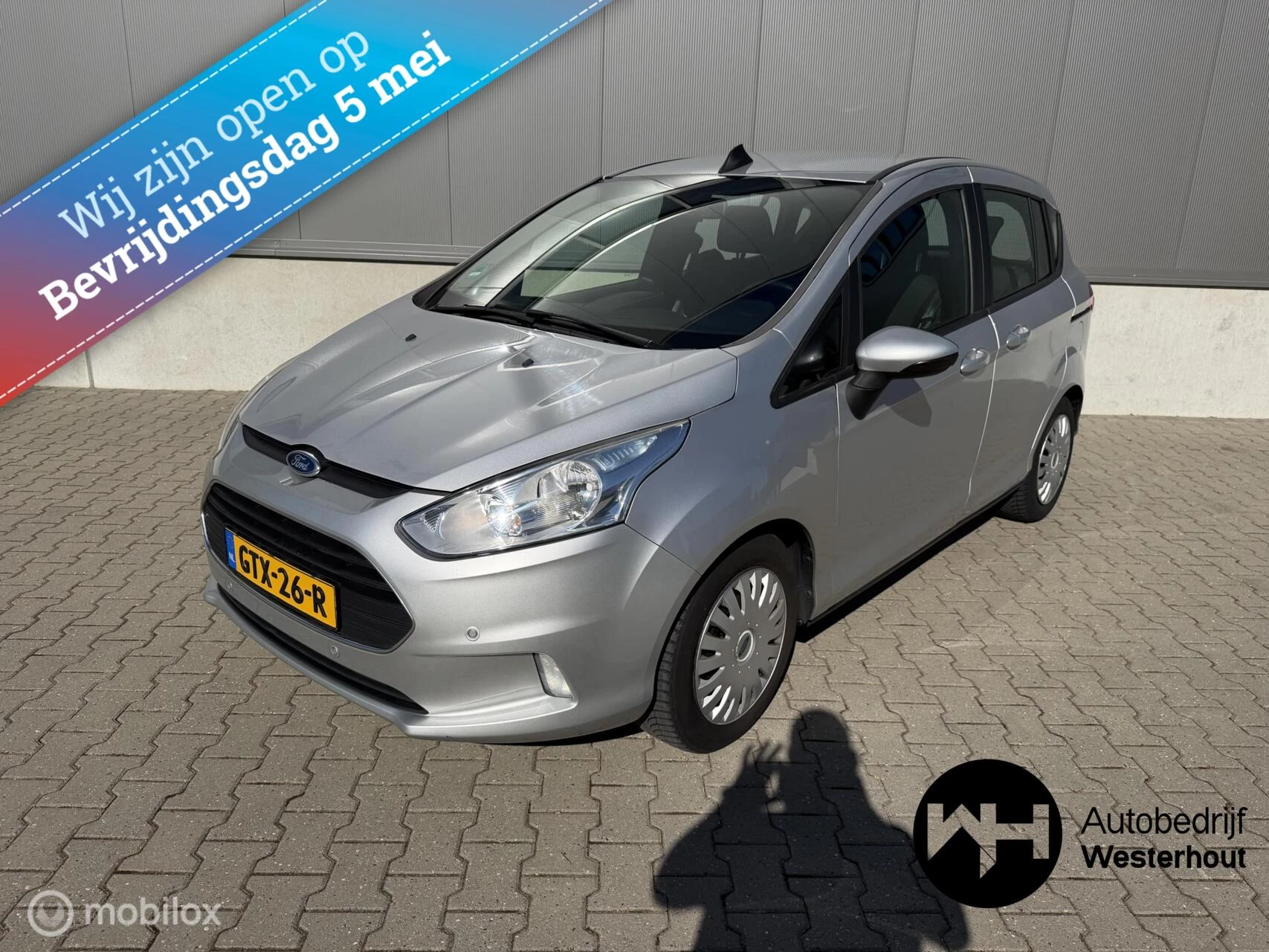 Hoofdafbeelding Ford B-MAX