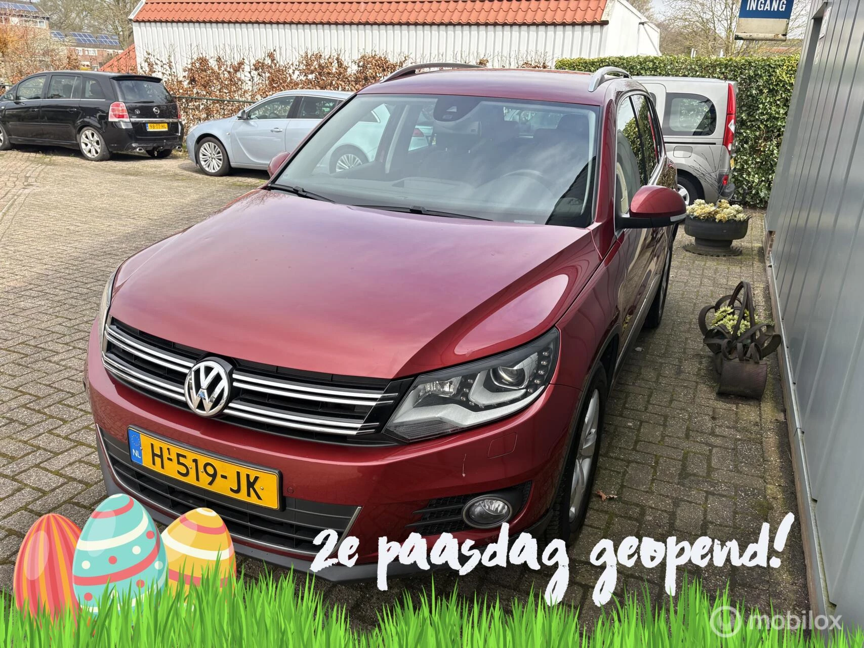 Hoofdafbeelding Volkswagen Tiguan