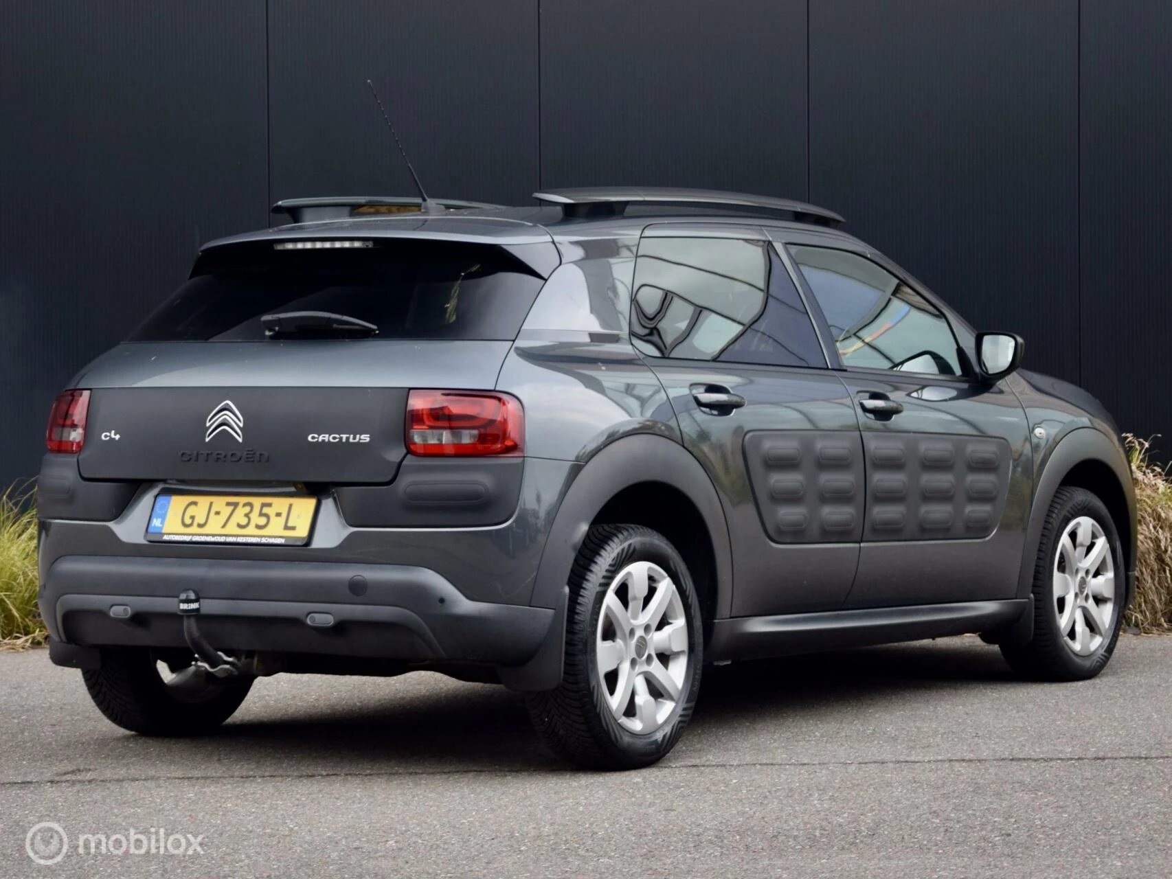 Hoofdafbeelding Citroën C4 Cactus