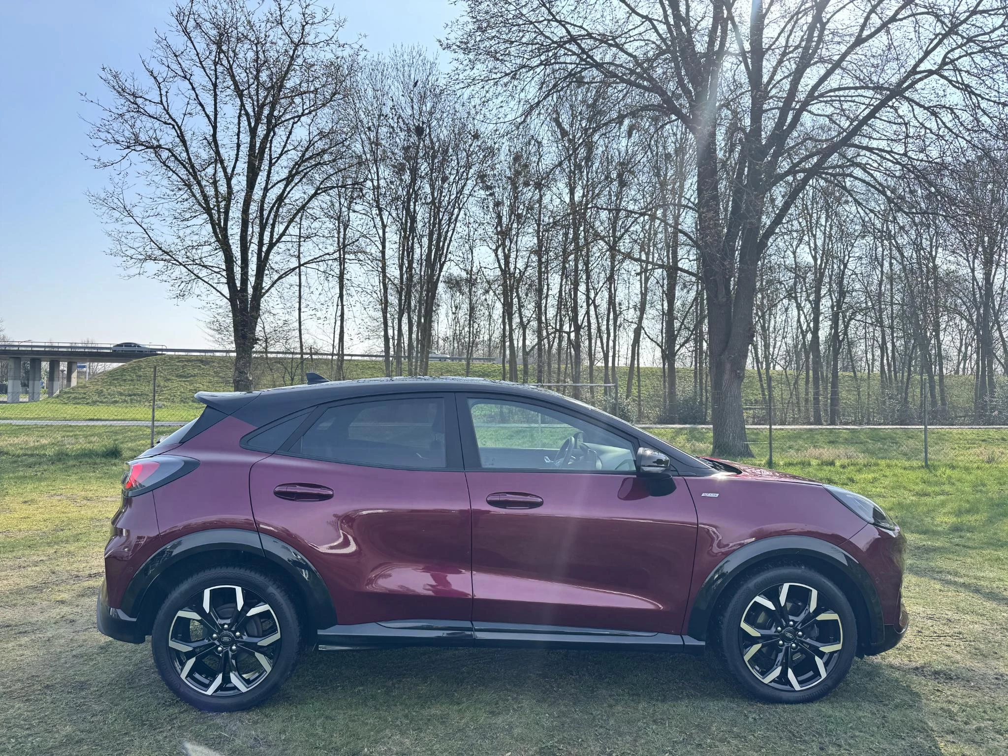 Hoofdafbeelding Ford Puma