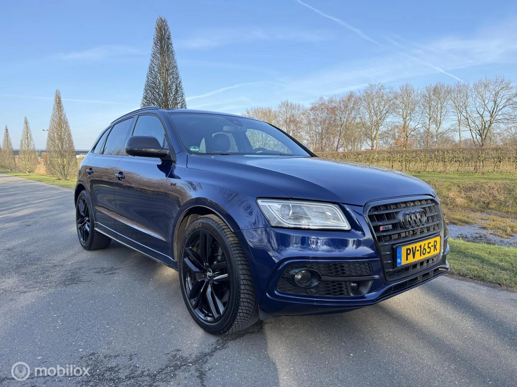 Hoofdafbeelding Audi SQ5