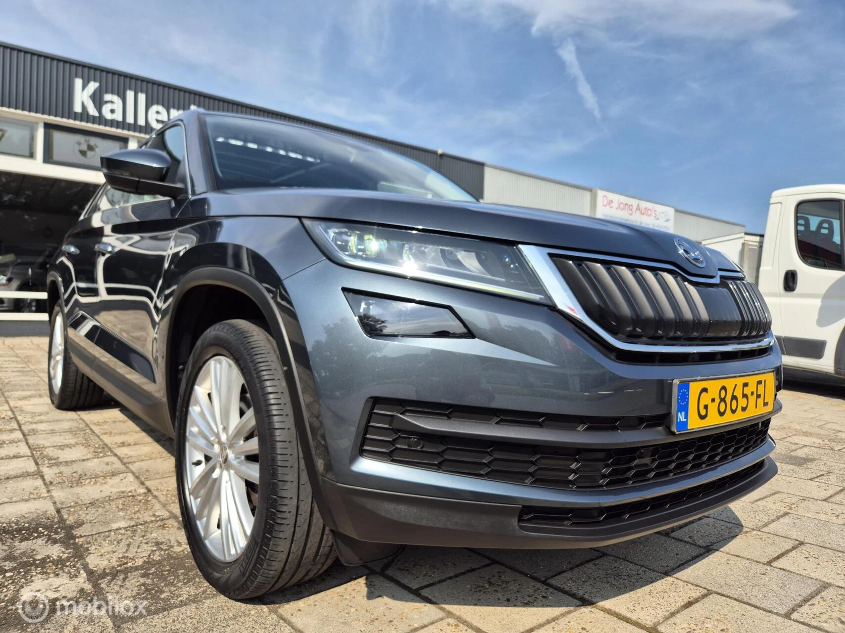 Hoofdafbeelding Škoda Kodiaq