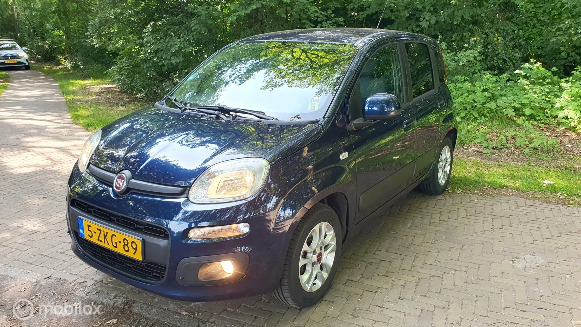 Hoofdafbeelding Fiat Panda