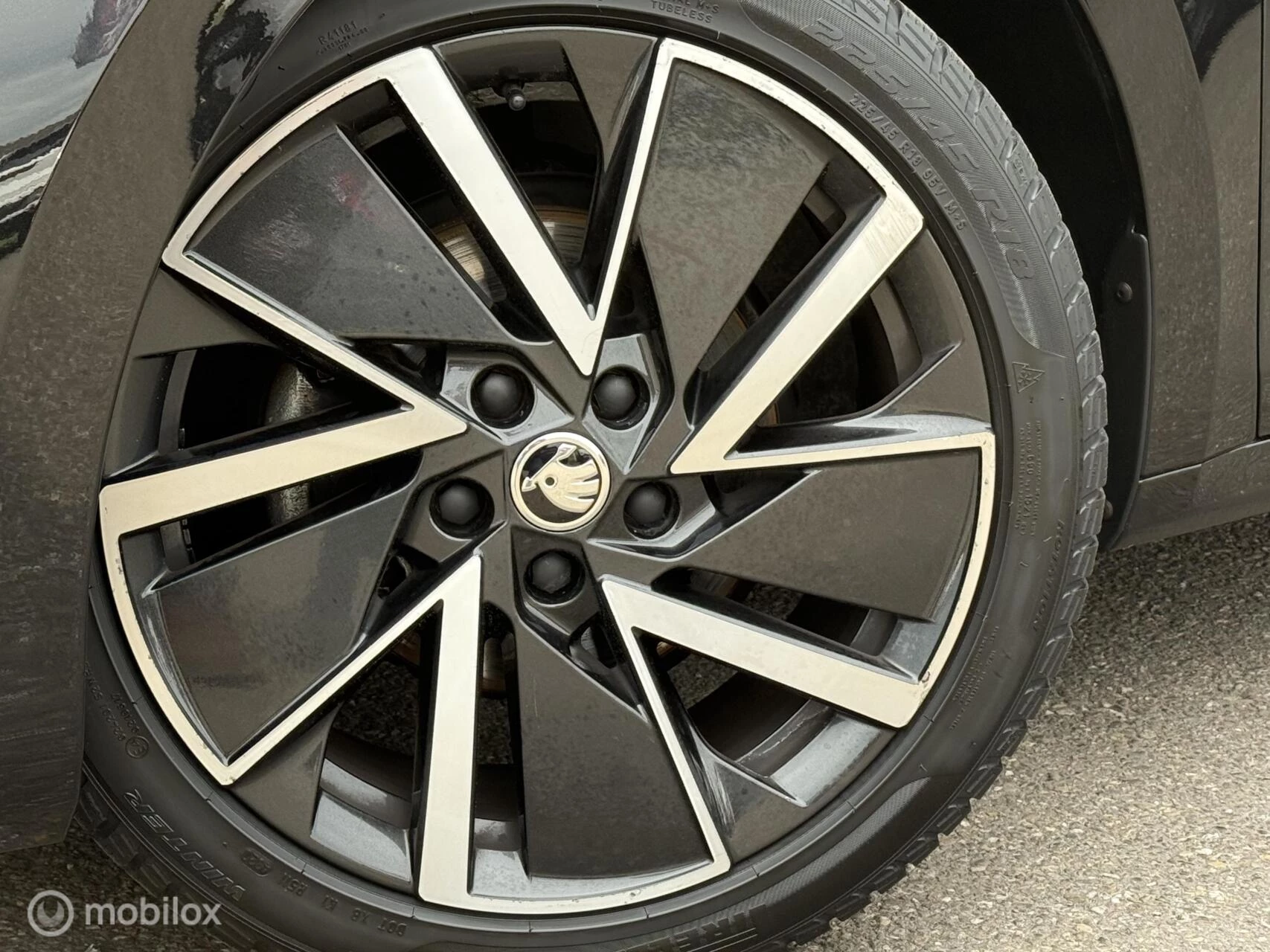 Hoofdafbeelding Škoda Octavia
