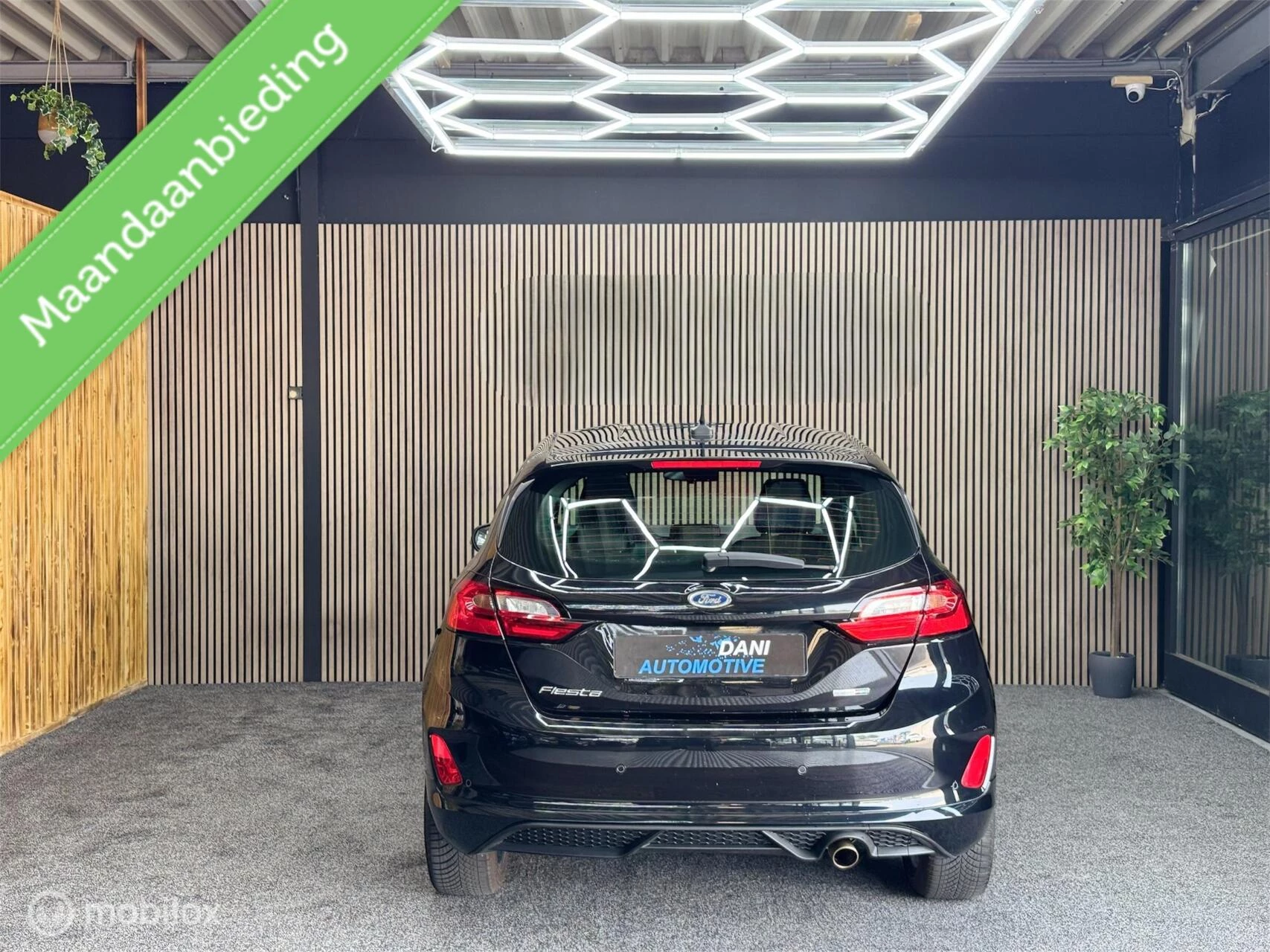 Hoofdafbeelding Ford Fiesta