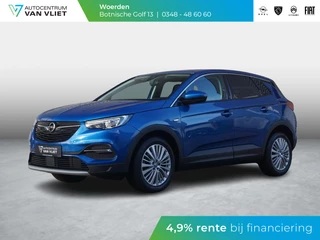 Hoofdafbeelding Opel Grandland X Opel Grandland X 1.2 Turbo Business Executive