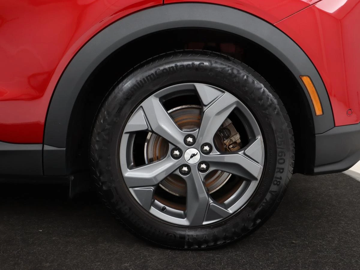 Hoofdafbeelding Ford Mustang Mach-E