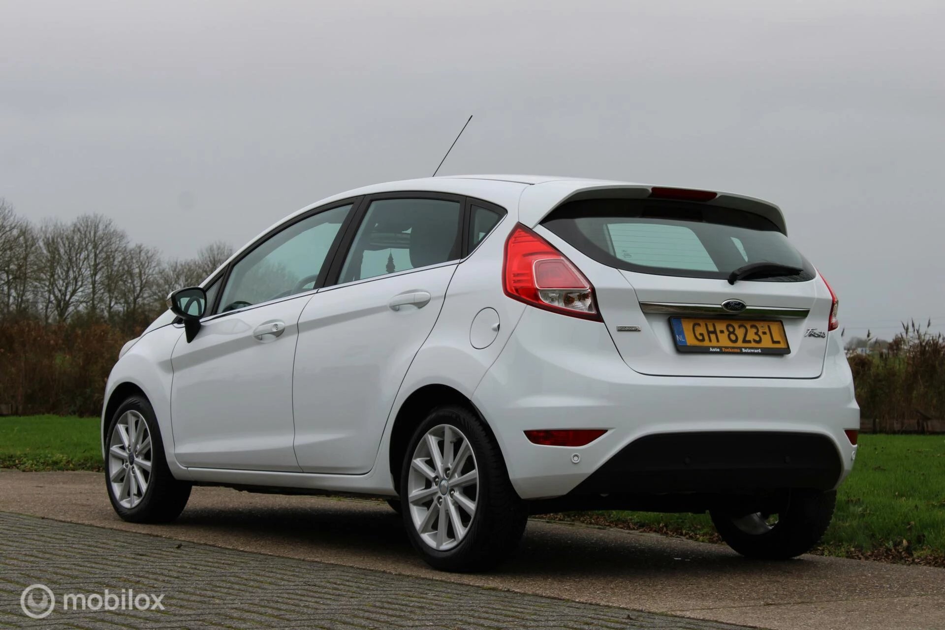 Hoofdafbeelding Ford Fiesta