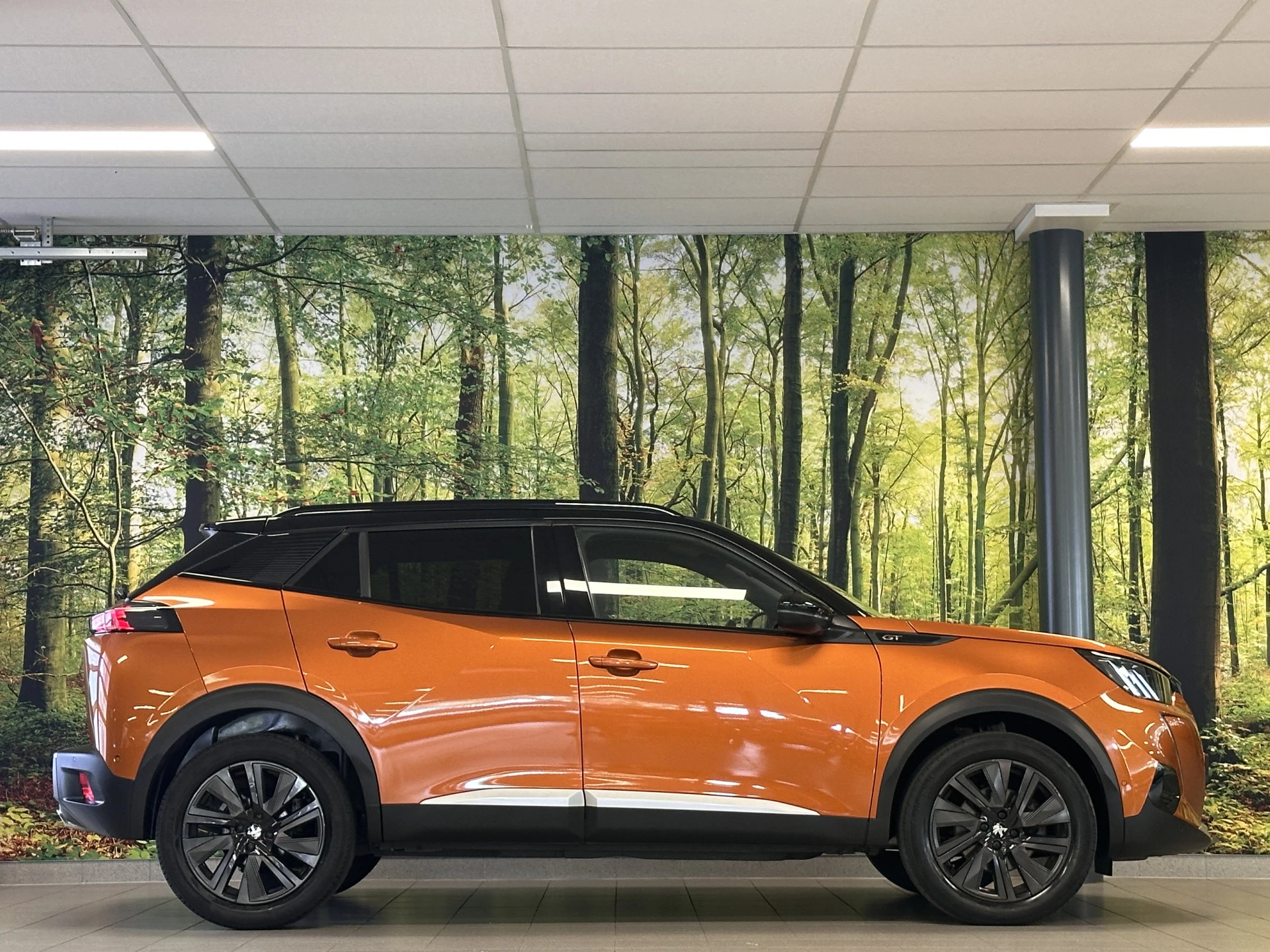 Hoofdafbeelding Peugeot 2008