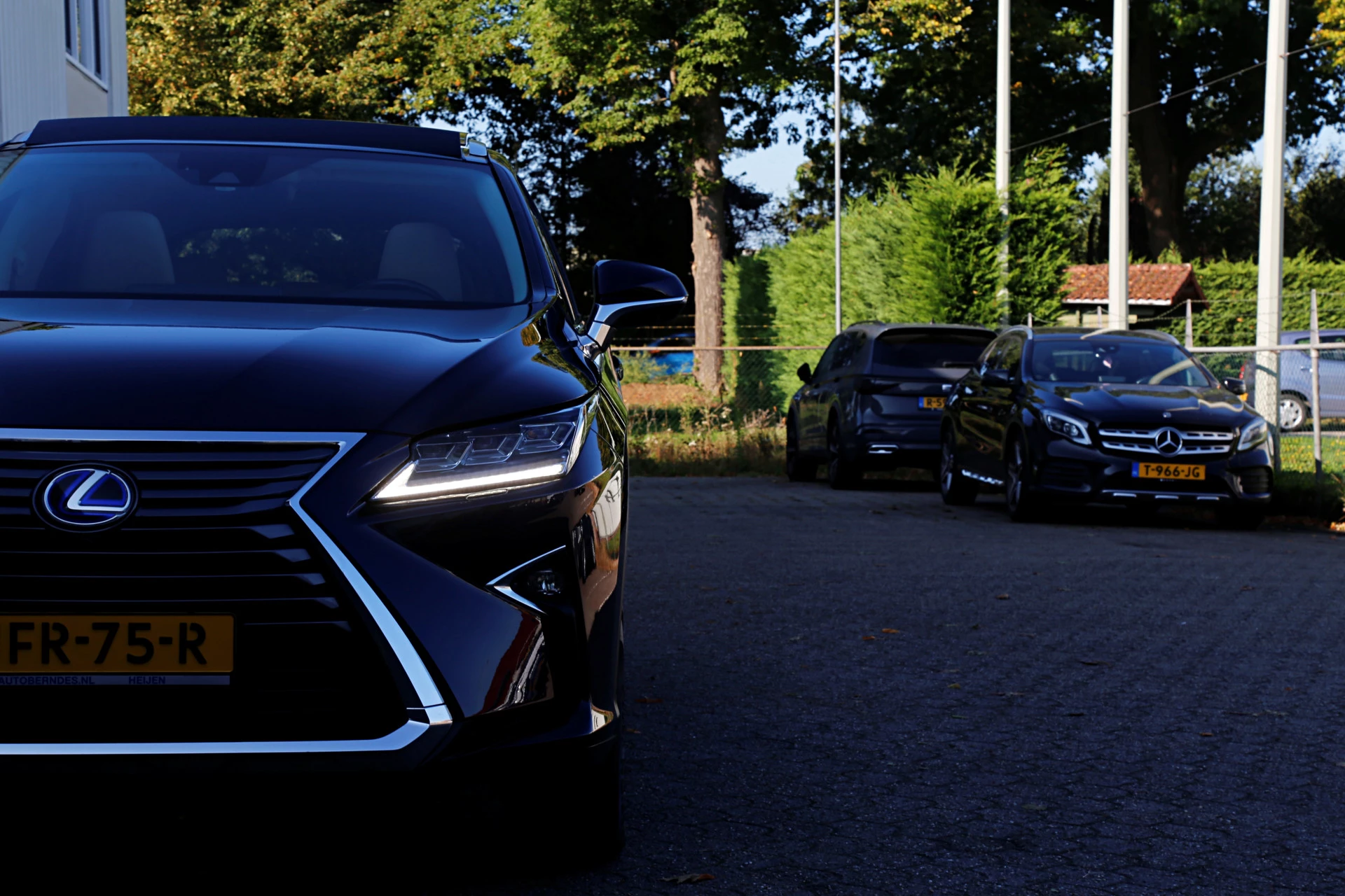 Hoofdafbeelding Lexus RX