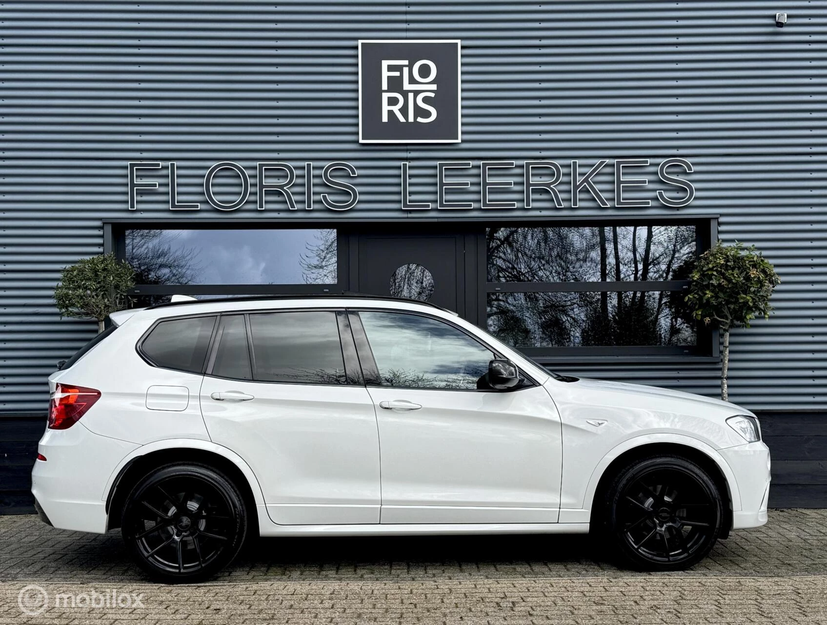 Hoofdafbeelding BMW X3