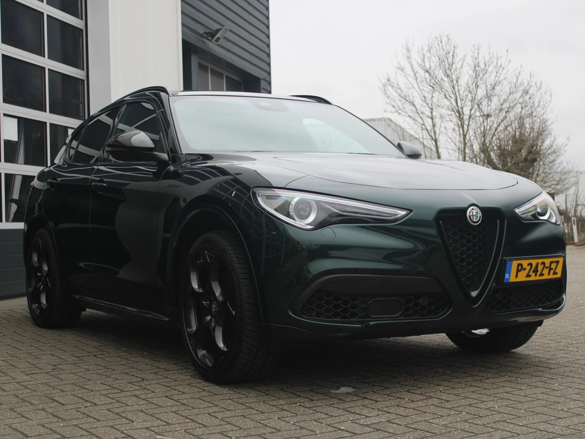 Hoofdafbeelding Alfa Romeo Stelvio