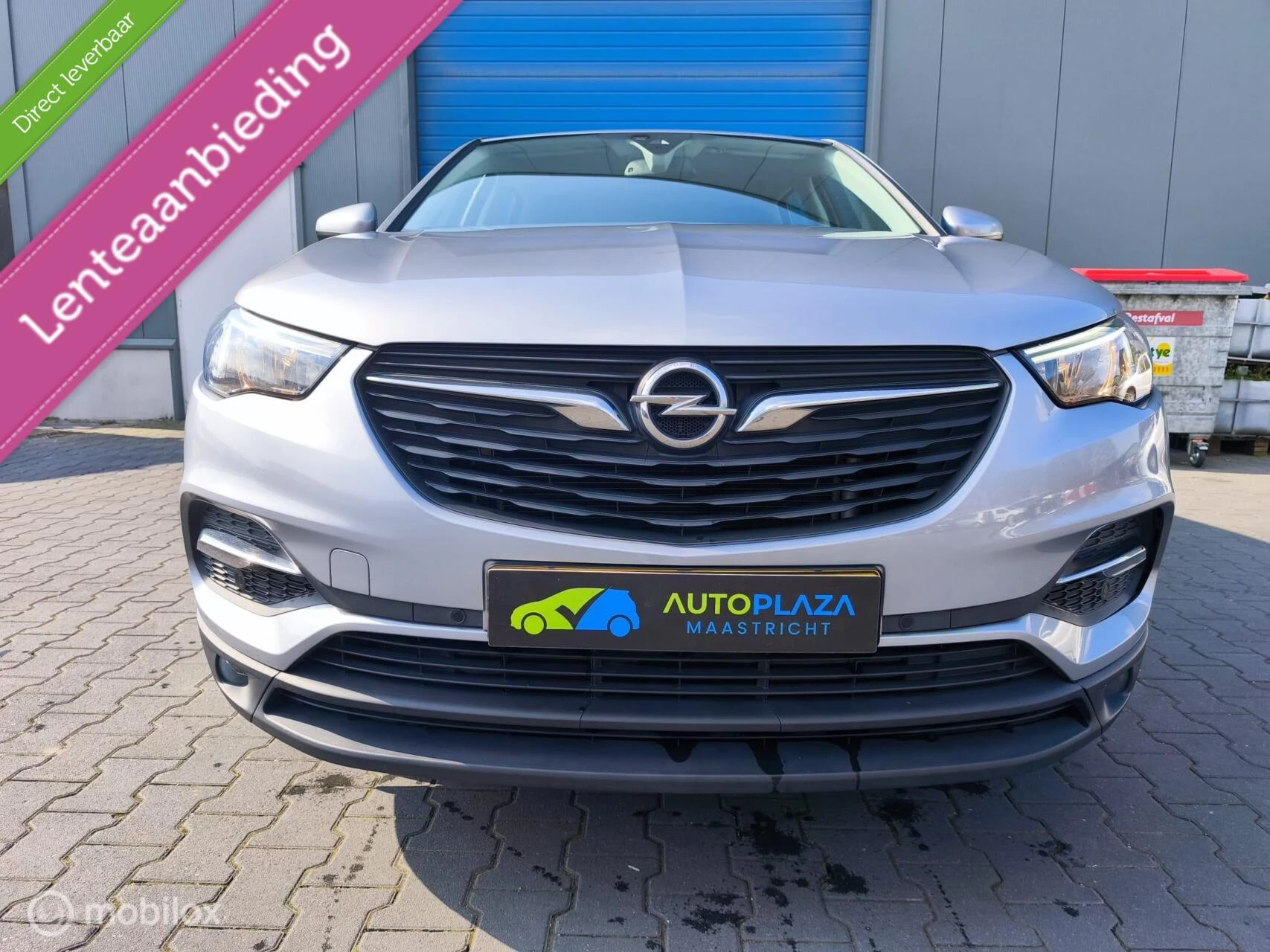 Hoofdafbeelding Opel Grandland X