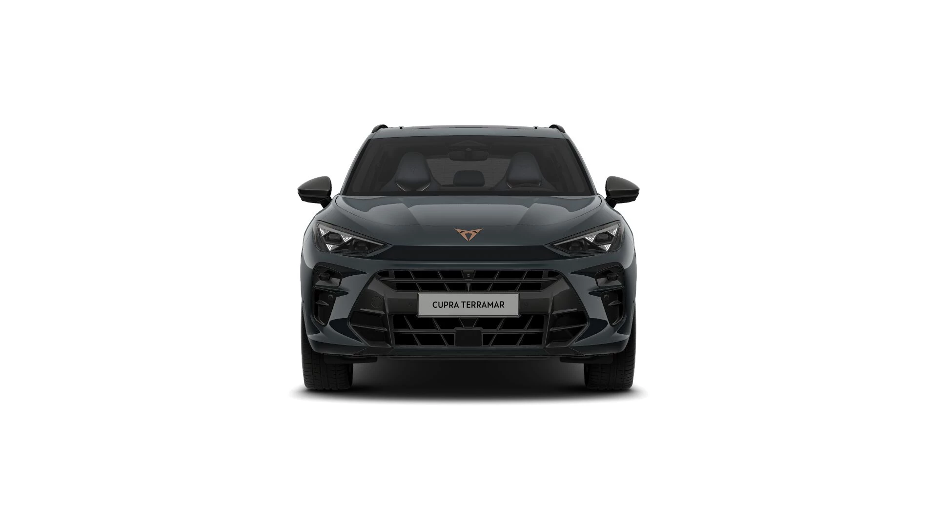 Hoofdafbeelding CUPRA Terramar