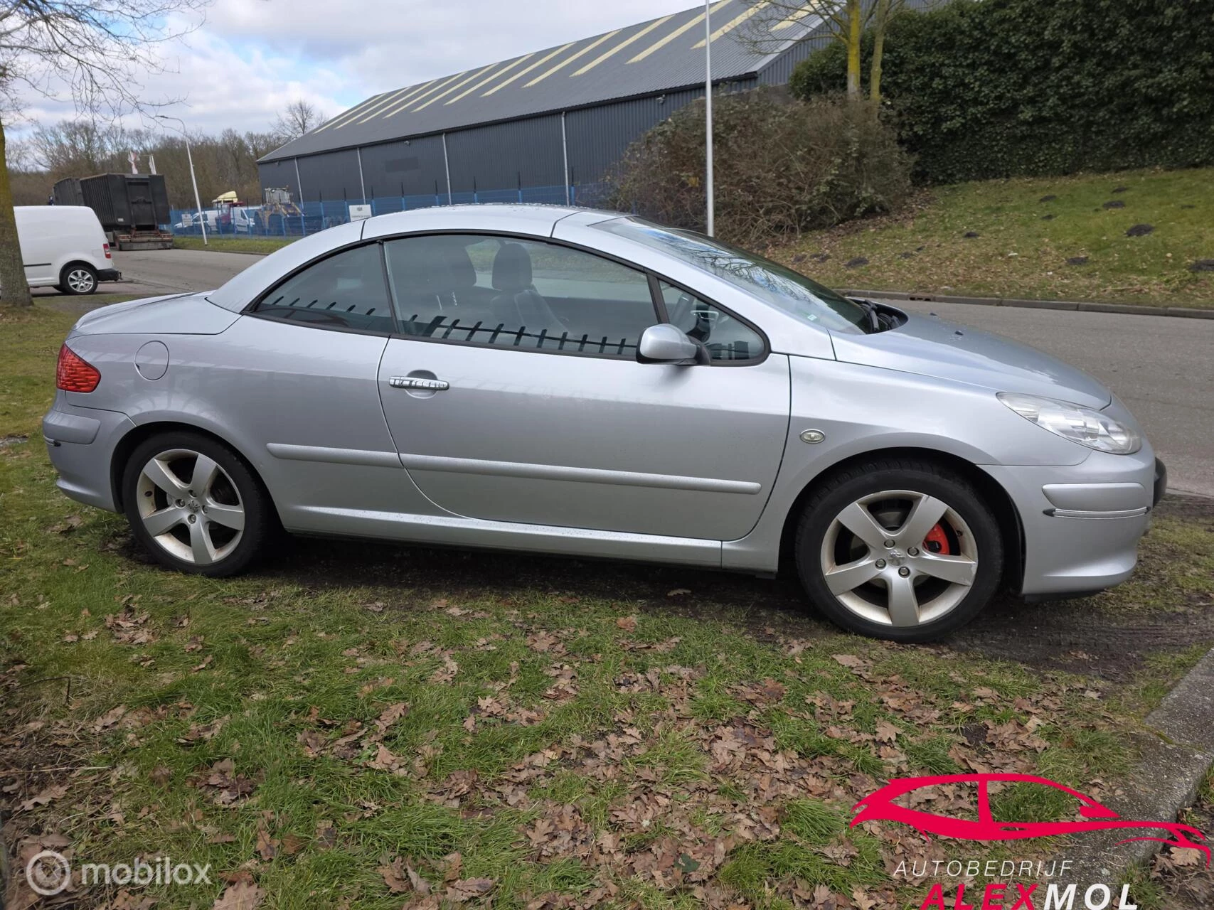 Hoofdafbeelding Peugeot 307