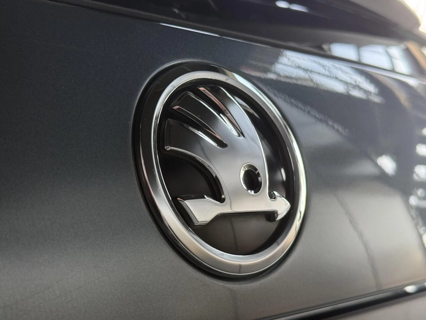 Hoofdafbeelding Škoda Rapid