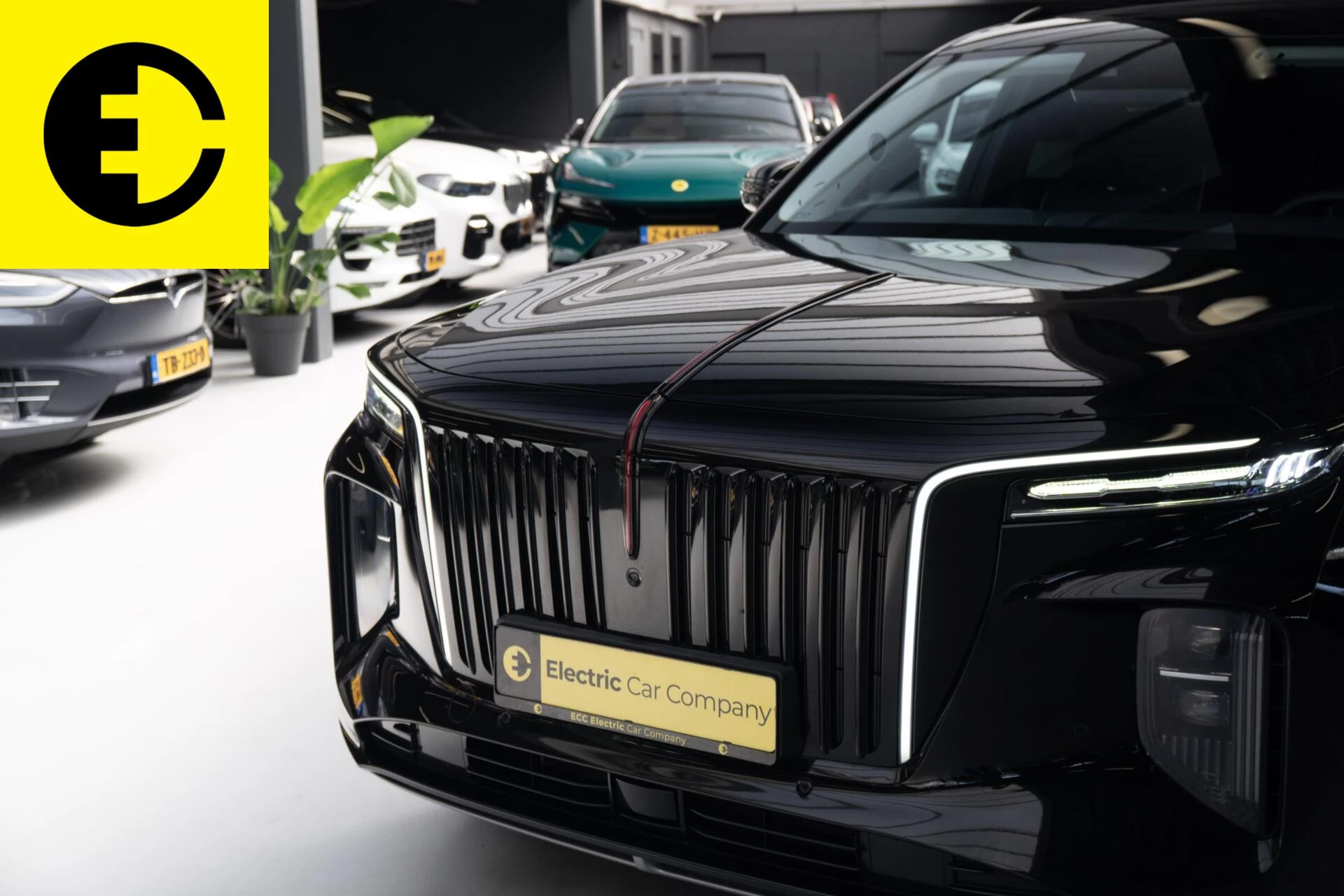 Hoofdafbeelding Hongqi E-HS9