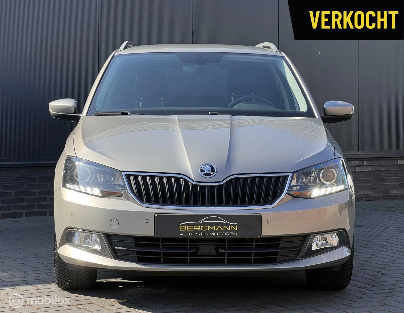 Hoofdafbeelding Škoda Fabia
