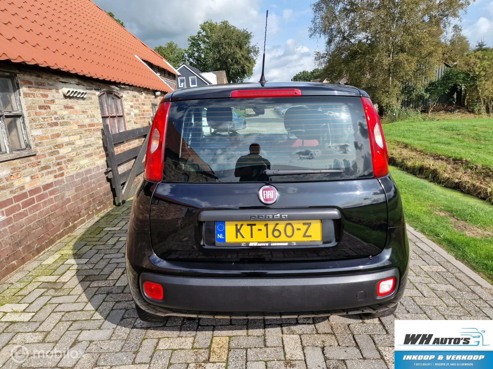 Hoofdafbeelding Fiat Panda