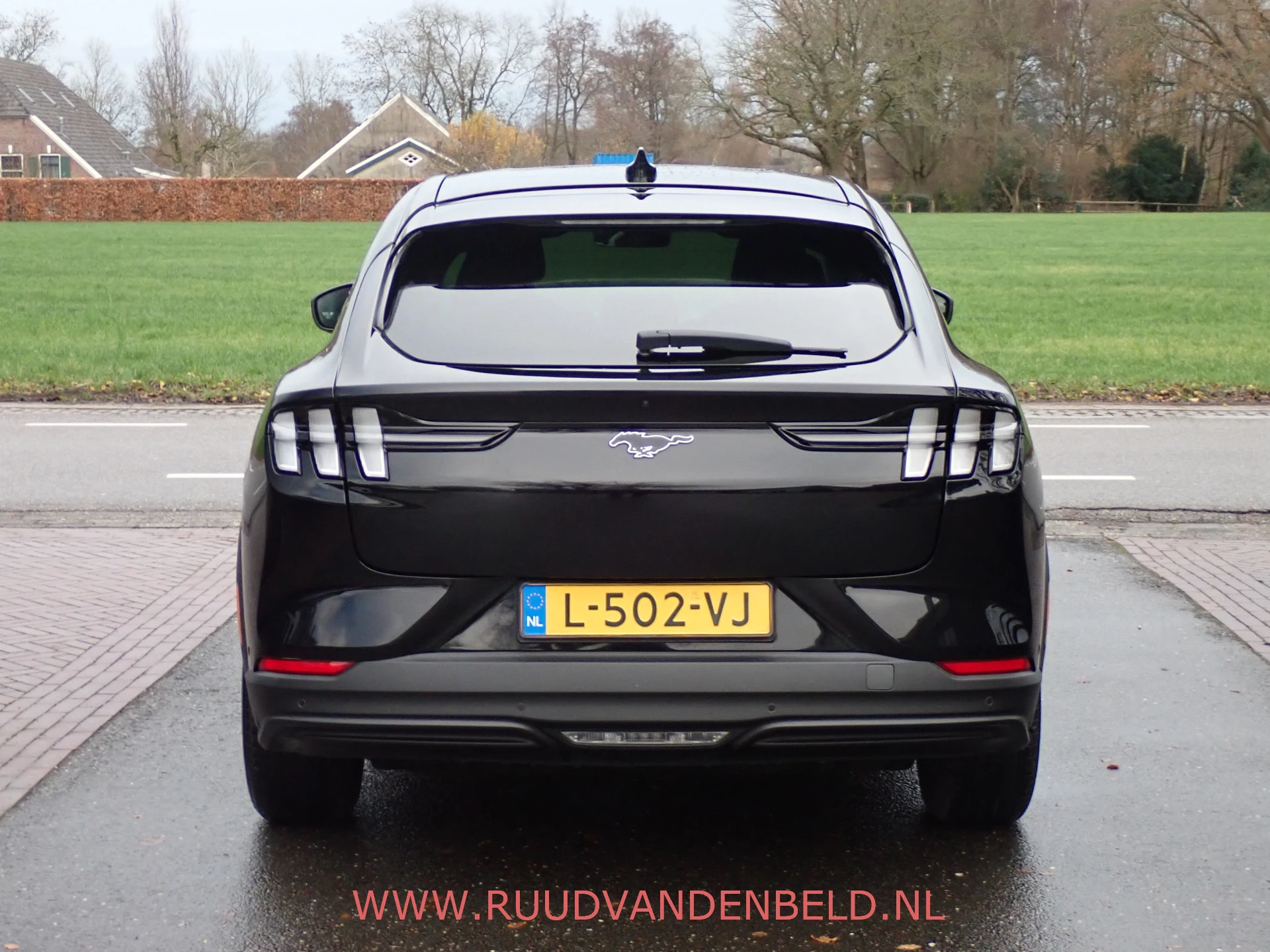 Hoofdafbeelding Ford Mustang Mach-E