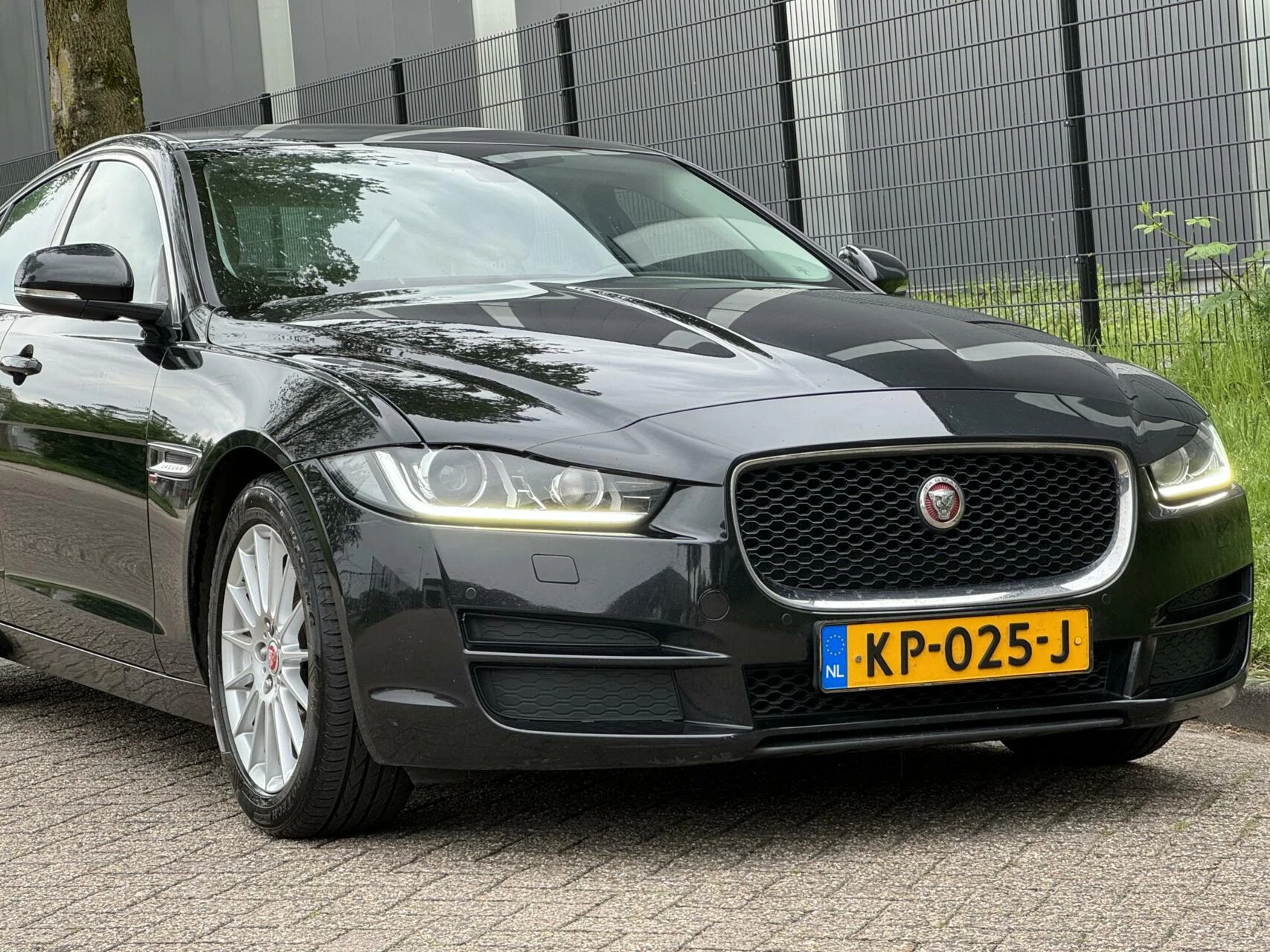 Hoofdafbeelding Jaguar XE