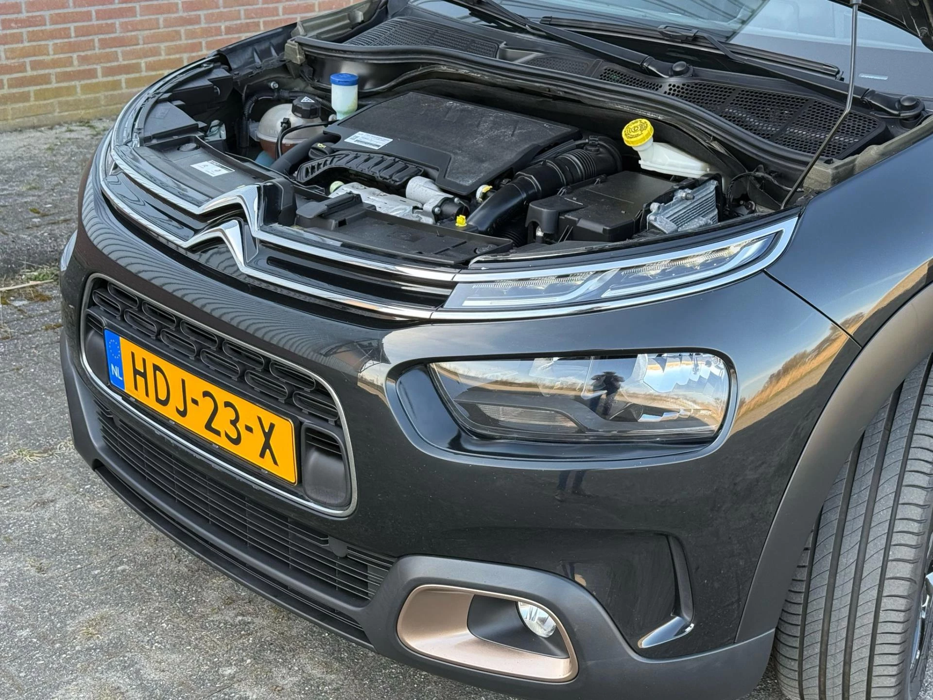 Hoofdafbeelding Citroën C4 Cactus