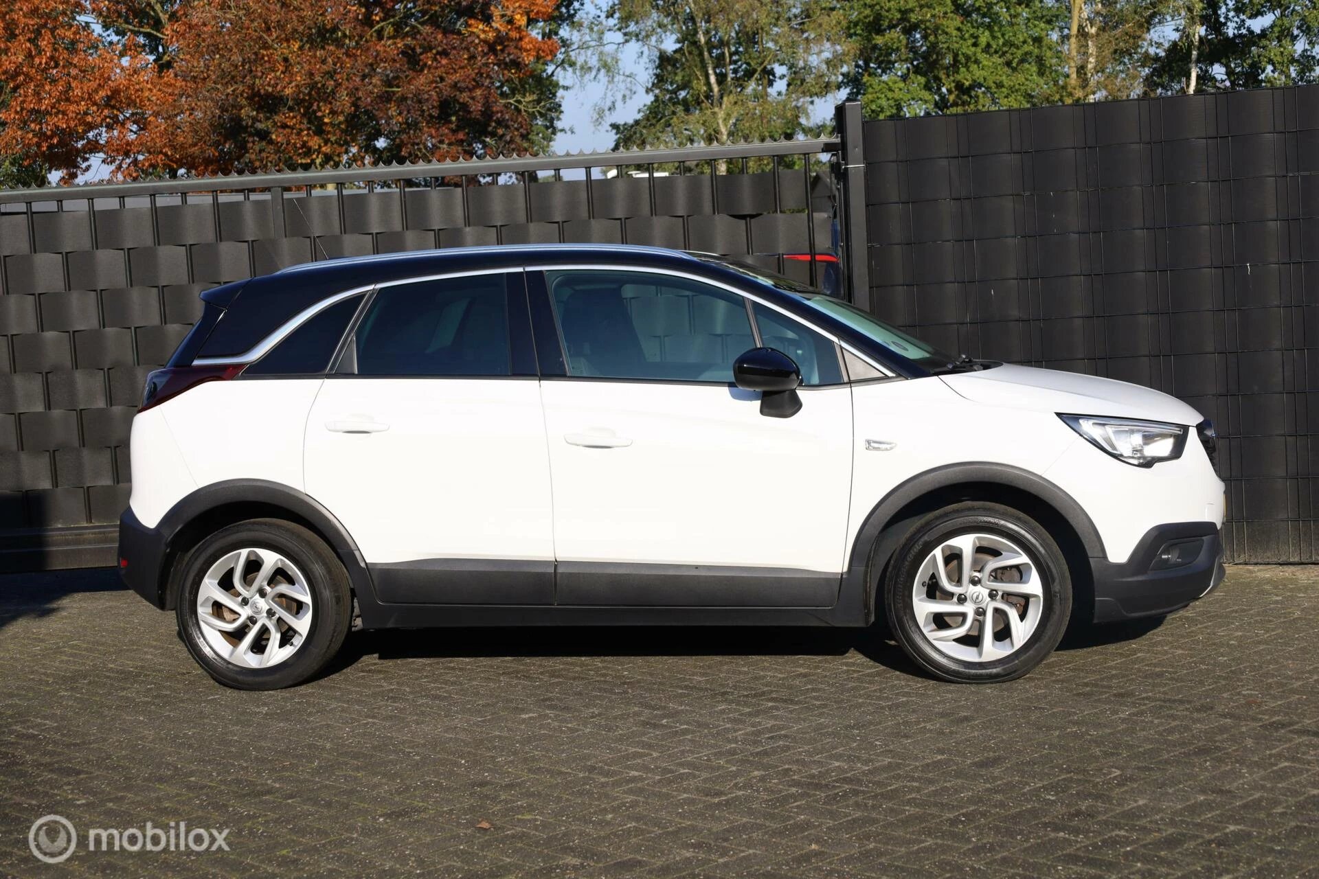 Hoofdafbeelding Opel Crossland X